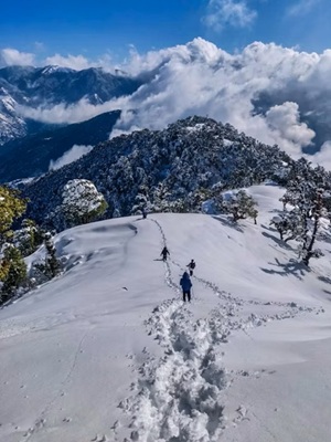 Snow in Gulaba Manali